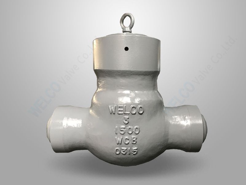 Stainless Swing Check Valve Factory WELCO