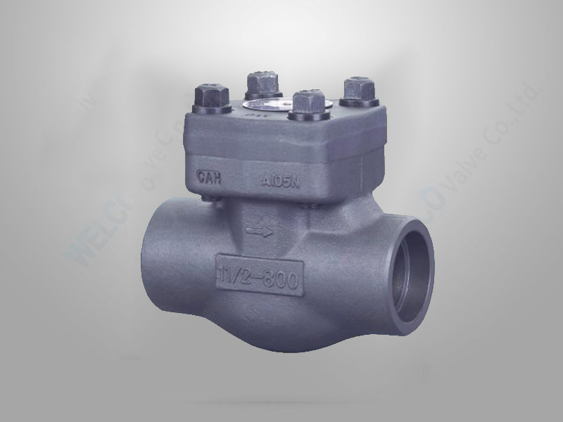 Industrial Check Valve Supplier Welco