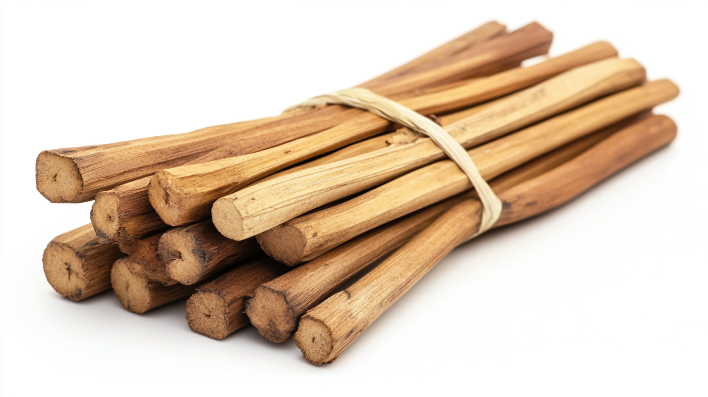 Rattan Sticks Market Trends and Insights for 2025 and Beyond