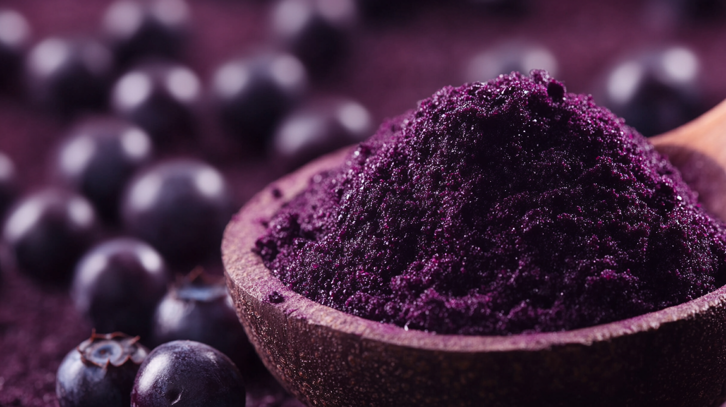 Unlocking the Power of Acai Berry Powder for Global Trade Success