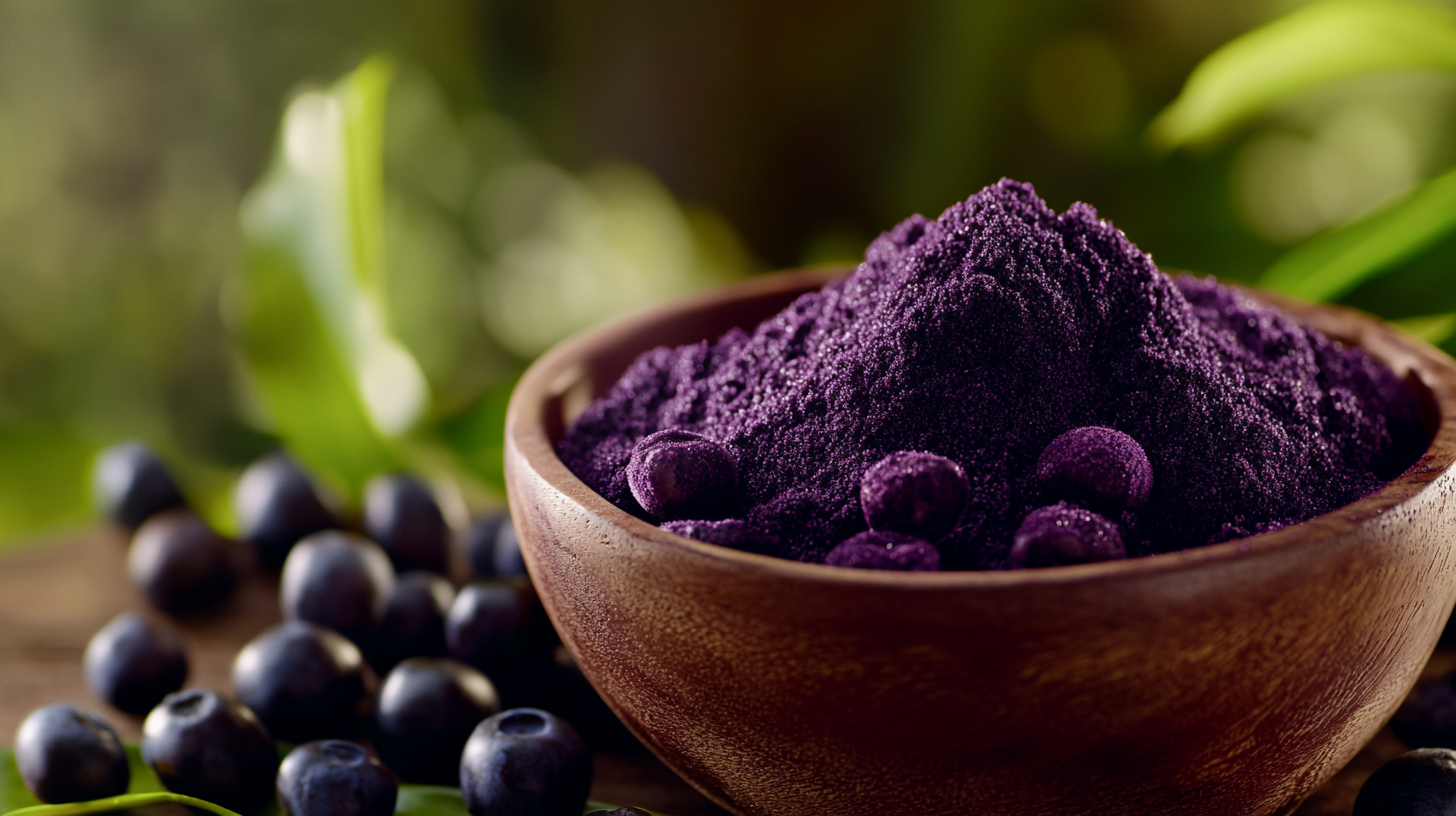 Unlocking the Power of Acai Berry Powder for Global Trade Success
