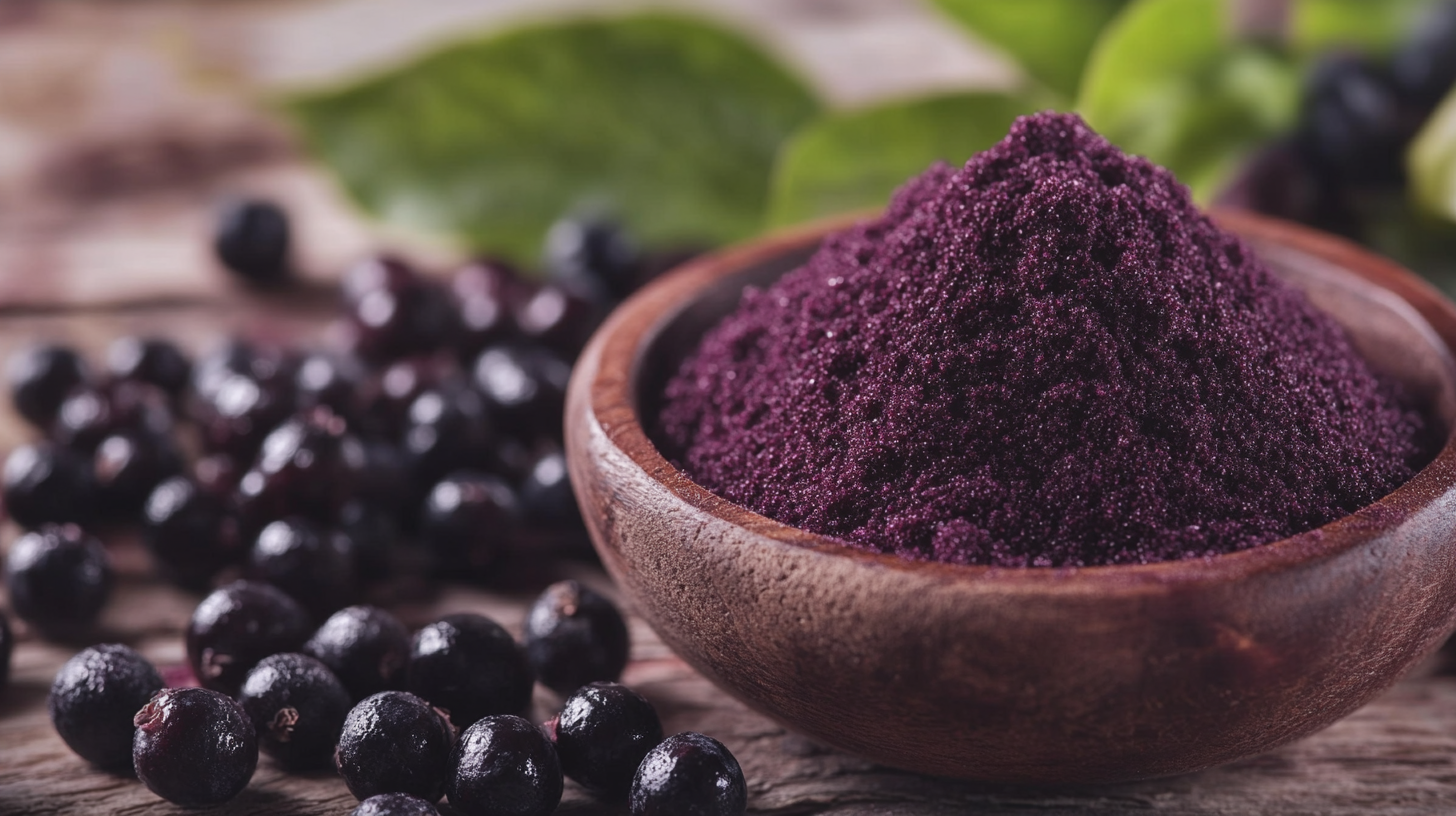 Unlocking the Power of Acai Berry Powder for Global Trade Success