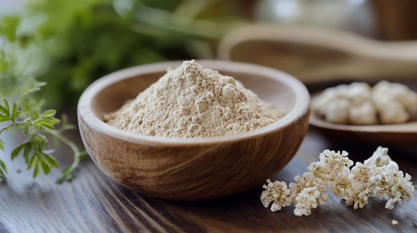 Understanding the Versatility and Applications of Angelica Extract Powder