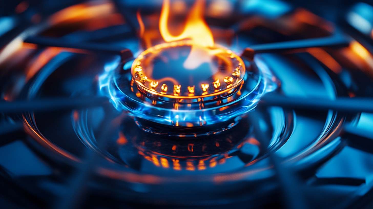 Future Innovations in Stove Heating Element Technology