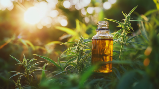 Discovering Reliable Partners for Zatural Cbd Oil Procurement