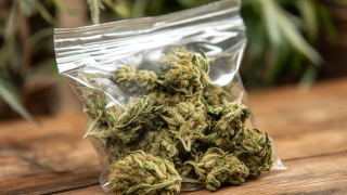 How to Source Quality Weed In A Bag for Your Business