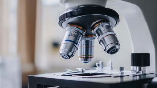 Emerging Trends in Clinical Research Tools for Global Buyers in 2025