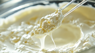 Lacticaseibacillus Casei in Dairy Production Solving Fermentation Challenges
