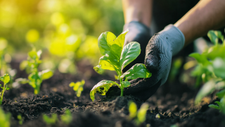 Innovative Solutions in Garden Supplies for Sustainable Global Sourcing in 2025