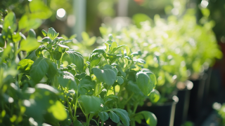 Unlocking International Trade 7 Key Certifications for Garden Fence Success