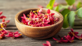 Global Import Export Certification Insights for Epimedium Sagittatum Extract Behind the Numbers