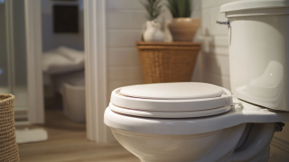 The 2025 Outlook on Global Demand for Toilet Seat Risers Targeting Seniors
