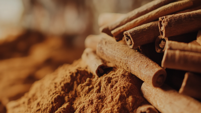 Unlocking the Future of Ground Cinnamon Sourcing Strategies for 2025