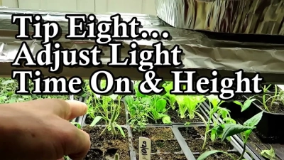 Essential Tips for Identifying Top-Notch Diesel Light Plant Suppliers