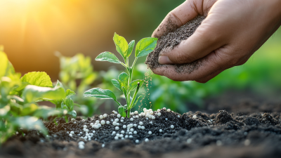 Unlocking Crop Potential: How Diammonium Phosphate Fertilizer Drives Global Agricultural Yields in 2023