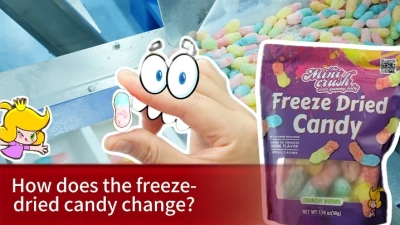 Mastering the Art of Sourcing Quality Candy Mints for Global Procurement Success