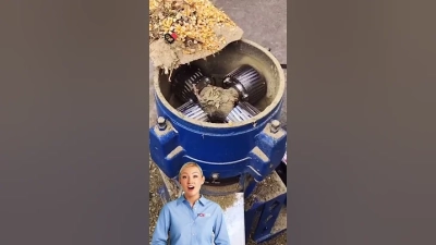 In-Depth Technical Specifications of the Flat Die Pellet Machine for Global Buyers