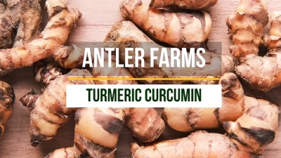 Innovative Approaches for Sourcing Turmeric Root Extract