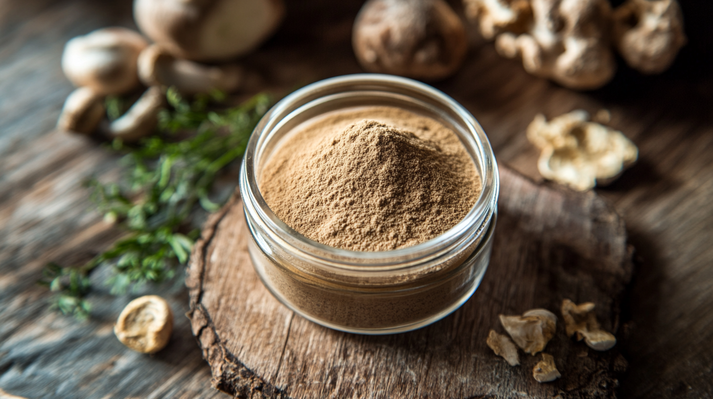 Comprehensive Technical Analysis of Natural Porcini Extract for Global Buyers