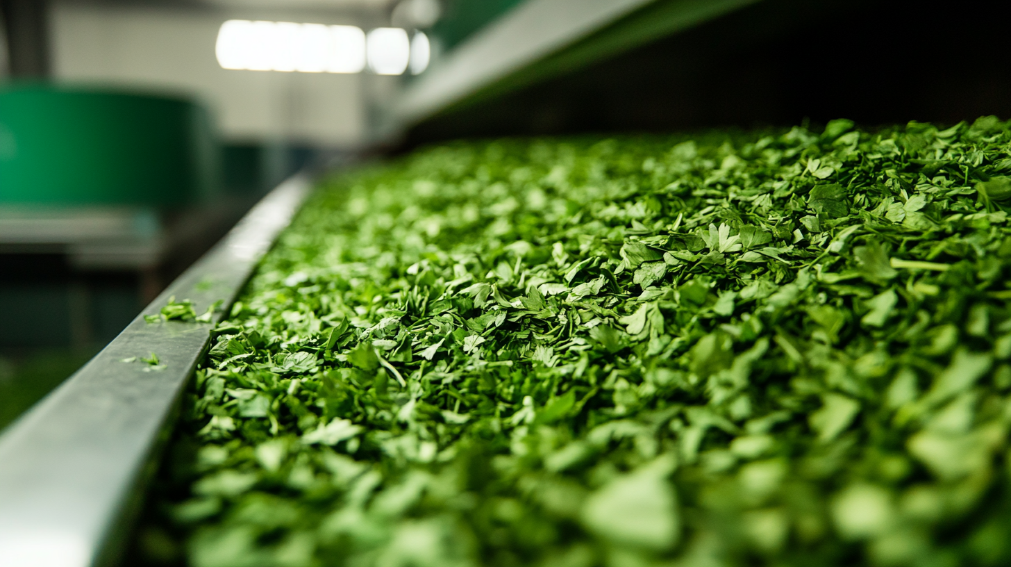 Maximizing Value in Procurement of Parsley Dried Leaves Through Exceptional Support and Reduced Maintenance Costs