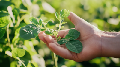 Mastering Global Crop Protection: Strategies for Sustainable Procurement Success