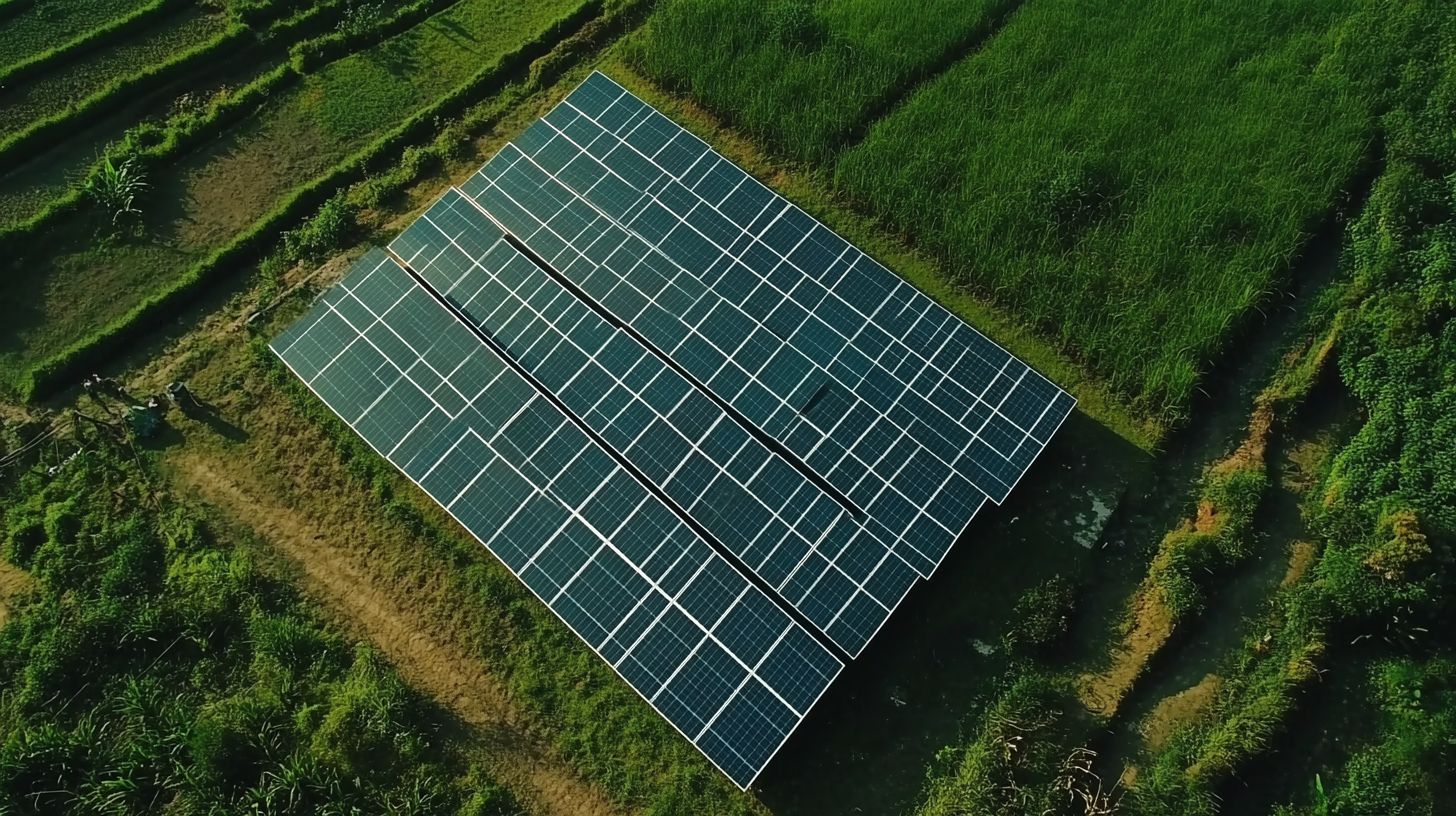 How to Source Sustainable Renewable Energy Solutions for Your Business