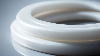 Ptfe Sealing Gasket Market Insights for 2025 and Best Practices for Global Buyers