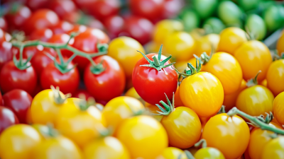 Unlocking the Advantages of Pyridoxine Vitamin B for Global Trade Success