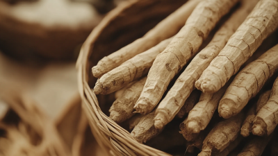 Exploring the Efficacy of Cuspidatum Root Extract Against Traditional Herbal Remedies