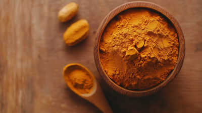 Global Curcumin Powder Market Trends and Projections for 2025: Insights and Case Studies