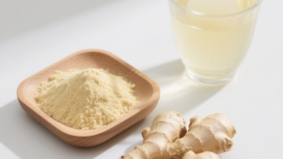 Ginger gingerol extract powder.jpg