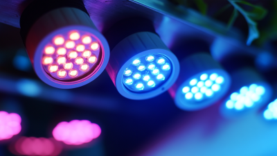 Advantages of Using Led Lights for Home Environments