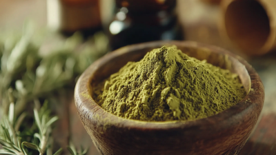 Unlocking the Benefits of Rosmarinic Acid Powder for Health and Wellness