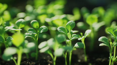 Future Innovations in Monoammonium Phosphate Technology for Sustainable Agriculture