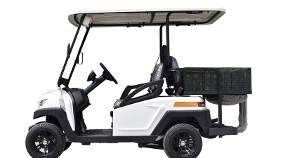 Global Impact of Golf Cart Dealers from China's Leading Manufacturers