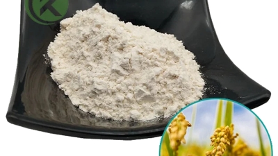 Natural-rice-bran-extract-98-Pure-Ferulic-Acid-powder.jpg