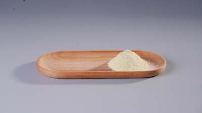 Lactobacillus reuteri.jpg