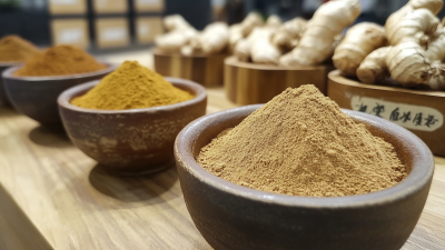 Exploring the Global Demand for Ginger Extract Powder at the 137th Canton Fair Success