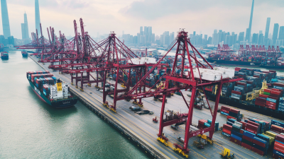 Navigating Tariffs: How Chinese Manufacturing of Best Grape Seed Extract Thrives Amid US-China Trade Tensions