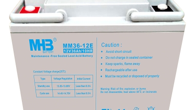 VRLA Battery emergency battery  6-GFM-36-1-T (MM36-12E).jpg