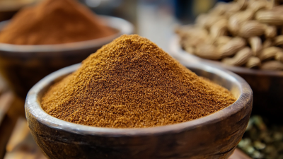 Top 10 Cumin Powder Manufacturers from China at the 137th Canton Fair