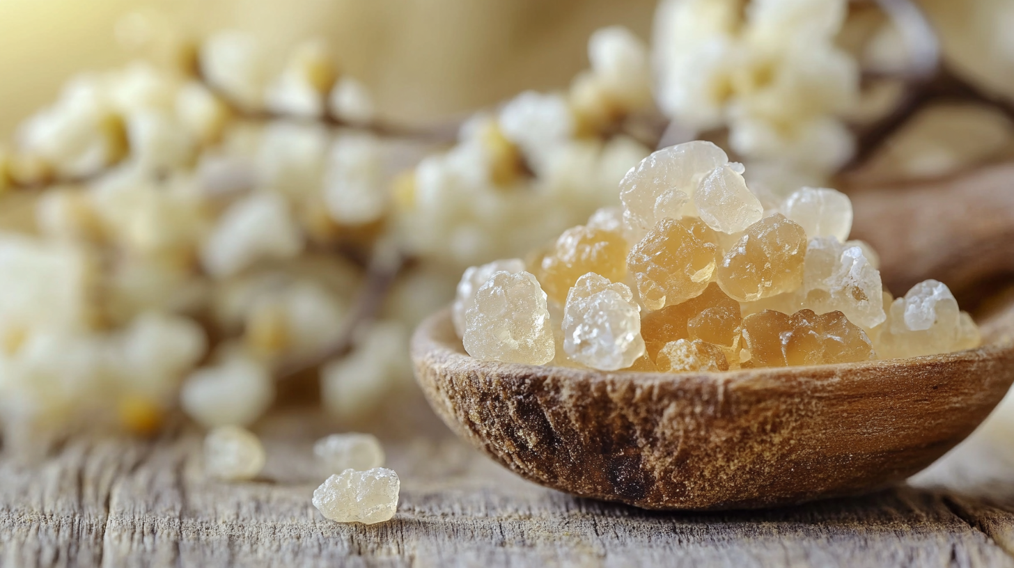 Top Strategies for Maximizing the Benefits of Best Boswellia Serrata Extract in Your Wellness Routine