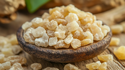 Top Strategies for Maximizing the Benefits of Best Boswellia Serrata Extract in Your Wellness Routine