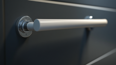 Exploring Unique Examples of the Best Bathroom Grab Bar Innovations Worldwide