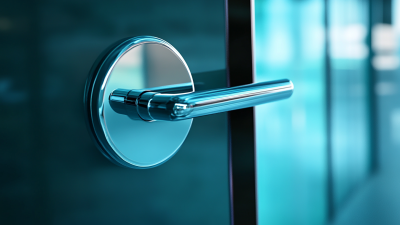 The Ultimate Guide to Choosing the Best Aluminum Glass Handle Lock for Your Needs