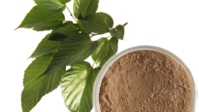 Mulberry Leaf.jpg