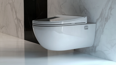Advantages of Installing the Best Wall Hung Bidet Toilet in Your Bathroom