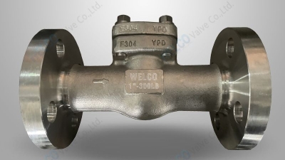 Forged steel flanged end check valve.jpg
