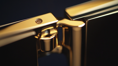 Global Excellence in Craftsmanship for Best Gold Hinge from China