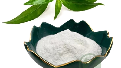 Andrographis-Paniculata-leaf-extract-Andrographolide-powder.jpg